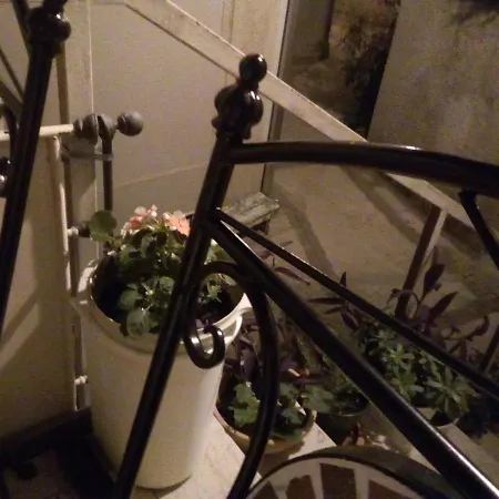 Leopolda Guest house *