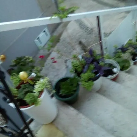 Leopolda Guest house